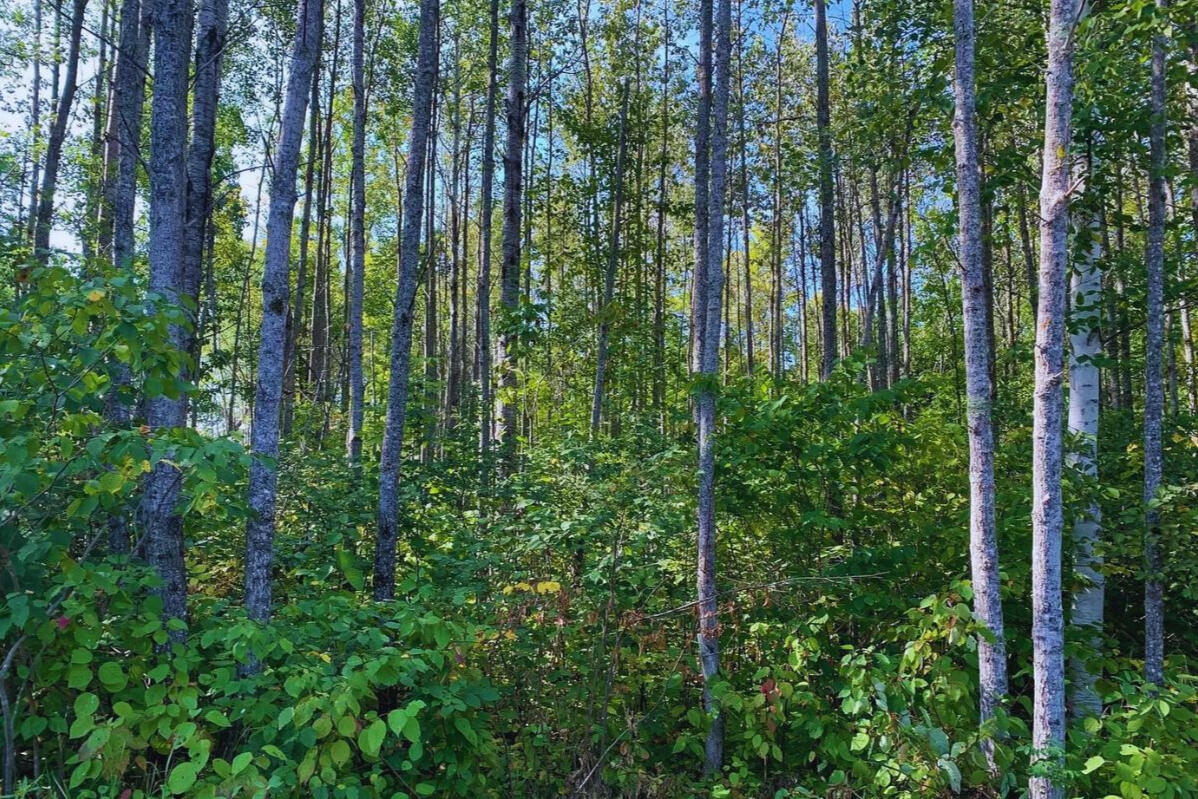 Next to Golf Course w/Camper - Golf Cir, Garrison, MN 56450, USA