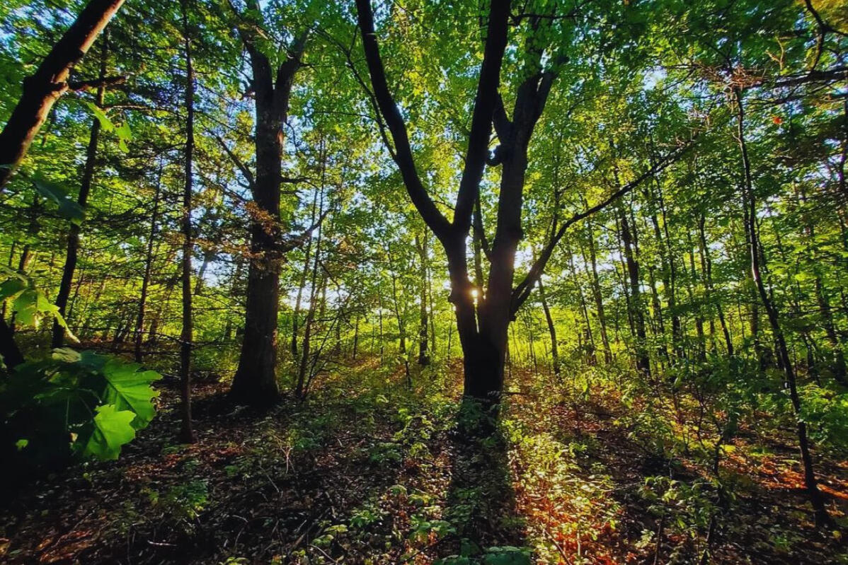 Mille Lacs 0.26 Acres, 09-962-2550