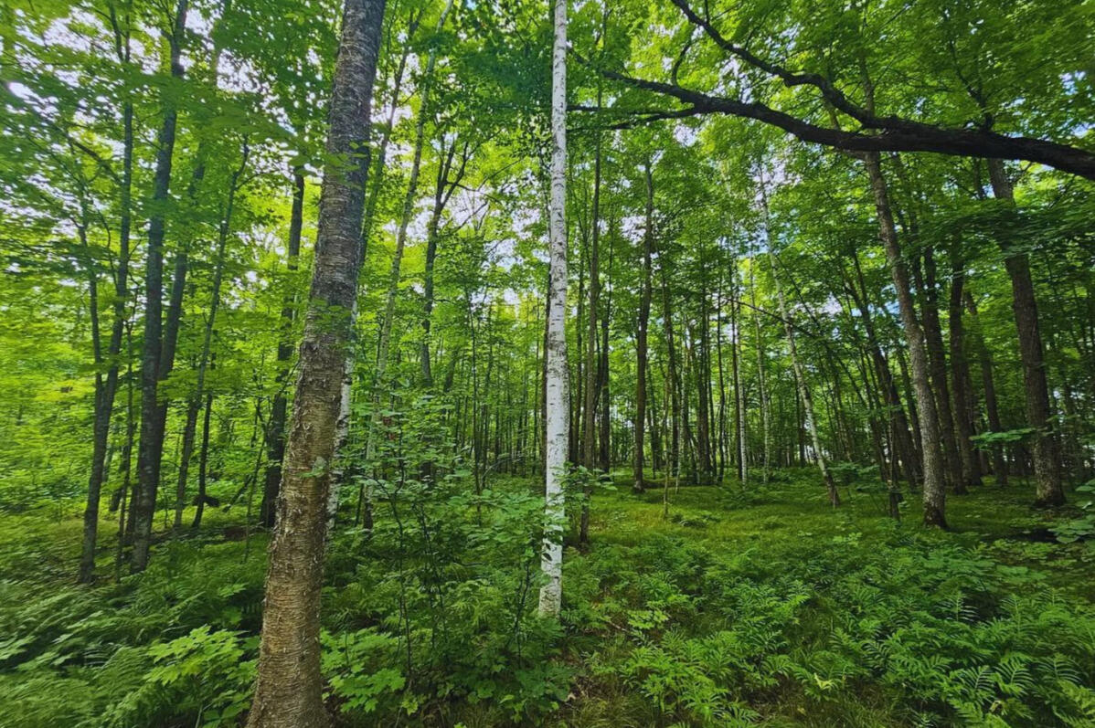 Mille Lacs 0.26 Acres, 09-962-2550